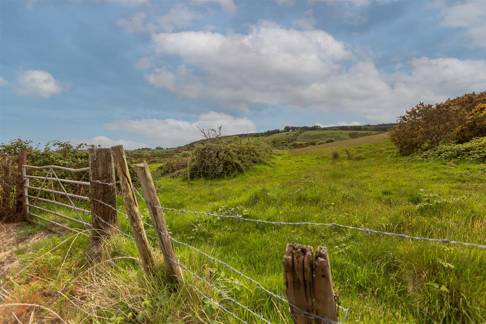 Llanerch Road, Bonymaen, Swansea, SA1 7AY